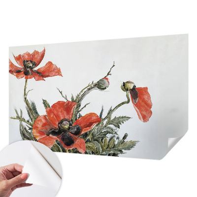 Fototapetas vaikams su raudonomis aguonomis