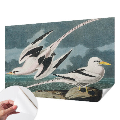 Fototapetas vaiko kambariui Fugle ved havet