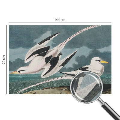 Fototapetas vaiko kambariui Fugle ved havet