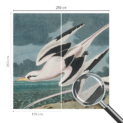 Fototapetas vaiko kambariui Fugle ved havet