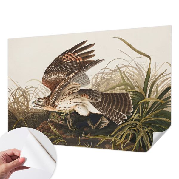 Fototapetas vaikams Vinget skønhed