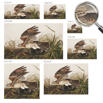 Fototapetas vaikams Vinget skønhed