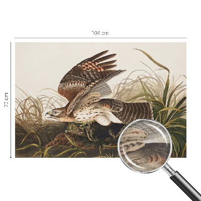 Fototapetas vaikams Vinget skønhed