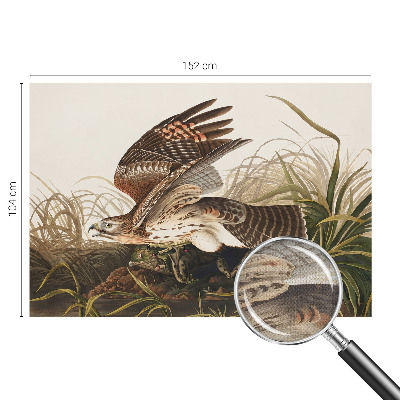 Fototapetas vaikams Vinget skønhed