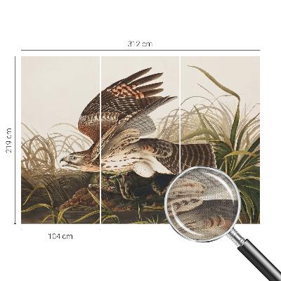 Fototapetas vaikams Vinget skønhed