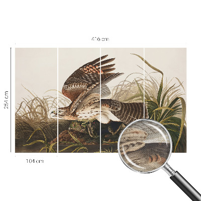 Fototapetas vaikams Vinget skønhed