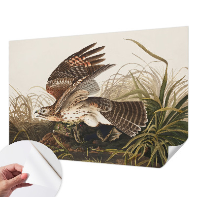 Fototapetas vaikams Vinget skønhed