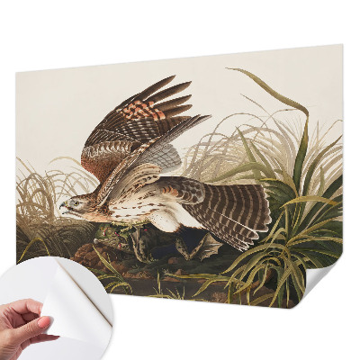 Fototapetas vaikams Vinget skønhed