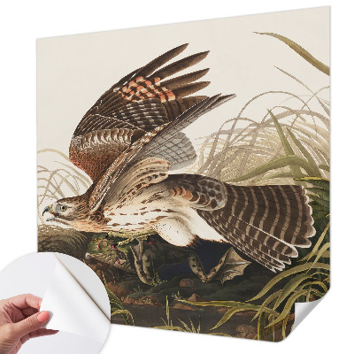 Fototapetas vaikams Vinget skønhed