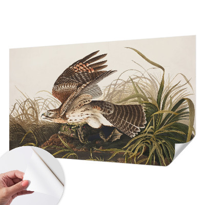 Fototapetas vaikams Vinget skønhed