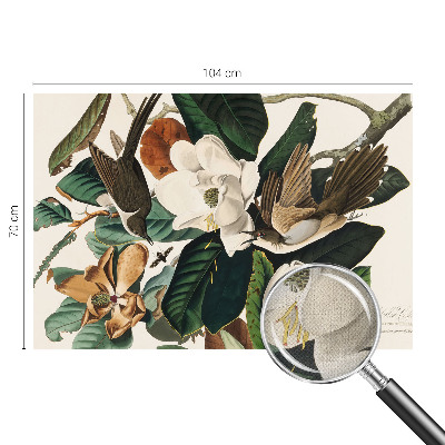 Fototapetai Fugle magnolijė