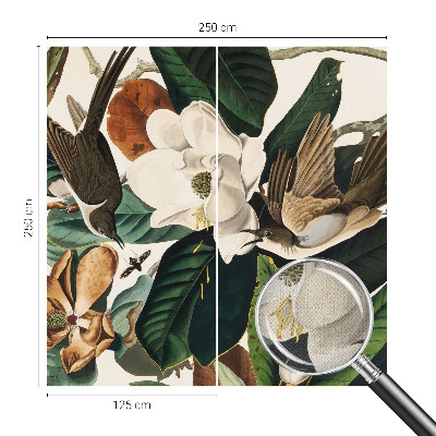 Fototapetai Fugle magnolijė