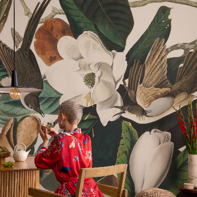 Fototapetai Fugle magnolijė