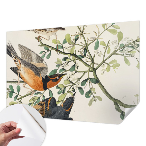 Savaime lipnus fototapetas Spalvinga fugle