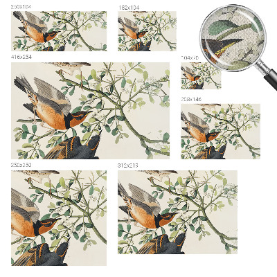 Savaime lipnus fototapetas Spalvinga fugle