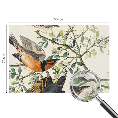 Savaime lipnus fototapetas Spalvinga fugle