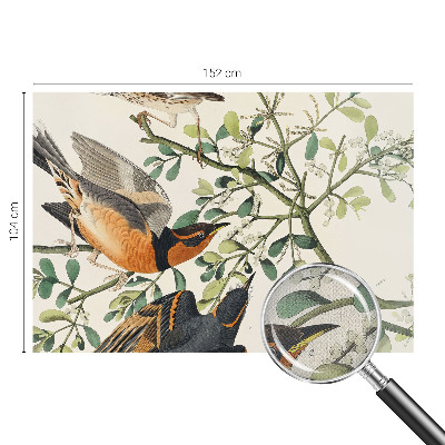 Savaime lipnus fototapetas Spalvinga fugle