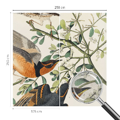 Savaime lipnus fototapetas Spalvinga fugle