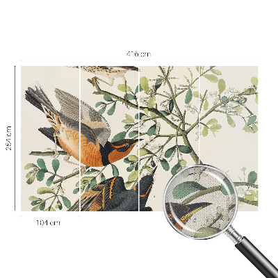 Savaime lipnus fototapetas Spalvinga fugle