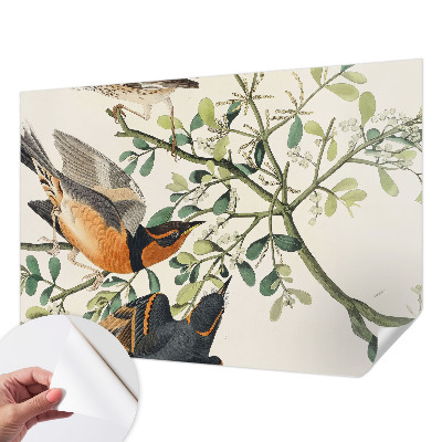 Savaime lipnus fototapetas Spalvinga fugle