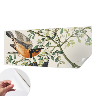 Savaime lipnus fototapetas Spalvinga fugle