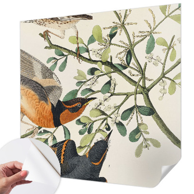 Savaime lipnus fototapetas Spalvinga fugle