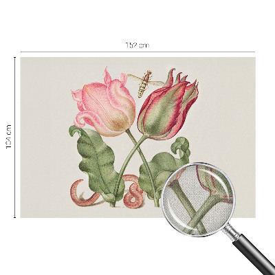 Fototapetai Tulpė skėčiai