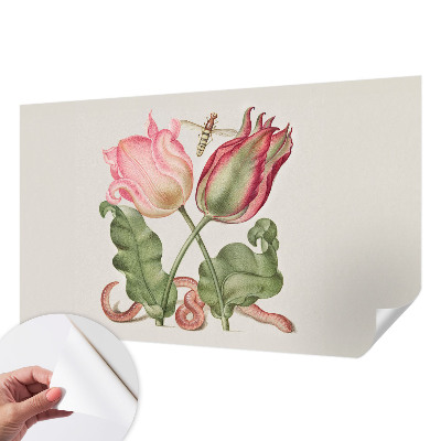 Fototapetai Tulpė skėčiai