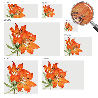 3D fototapetas sienoms su oranžinėmis lelijomis