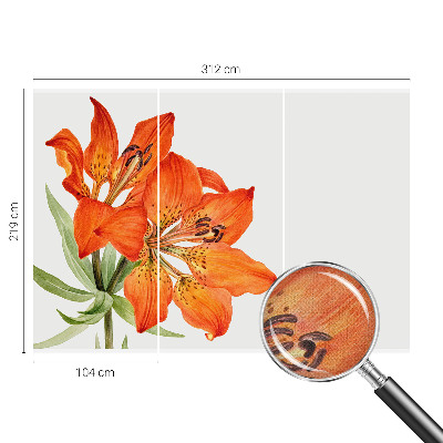 3D fototapetas sienoms su oranžinėmis lelijomis