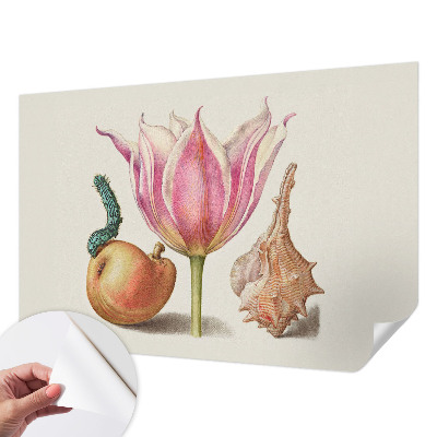 Fototapetas vaiko kambariui Natūrali simbiozė