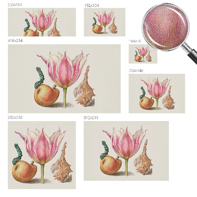 Fototapetas vaiko kambariui Natūrali simbiozė