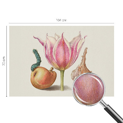 Fototapetas vaiko kambariui Natūrali simbiozė