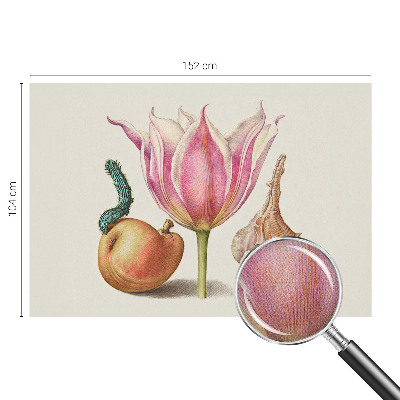 Fototapetas vaiko kambariui Natūrali simbiozė