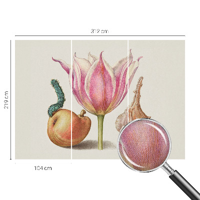 Fototapetas vaiko kambariui Natūrali simbiozė