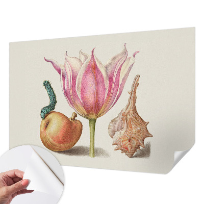 Fototapetas vaiko kambariui Natūrali simbiozė