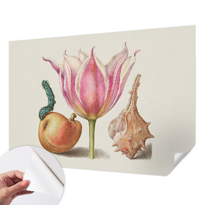 Fototapetas vaiko kambariui Natūrali simbiozė