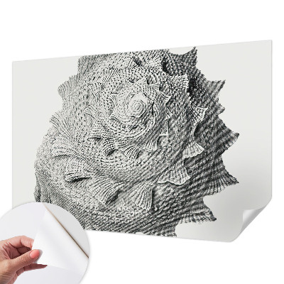 Fototapetas vaiko kambariui Gamtos menas