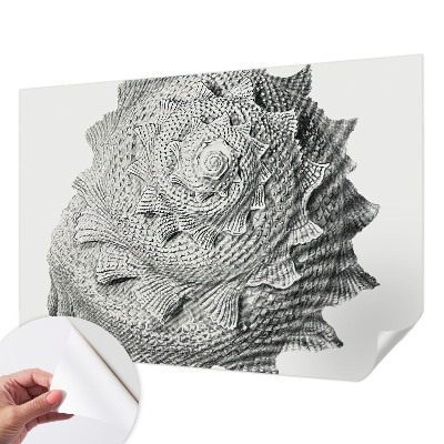 Fototapetas vaiko kambariui Gamtos menas