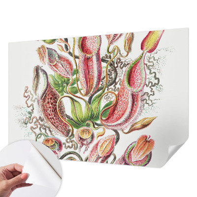 Fototapetas vaikams Augalų detalės