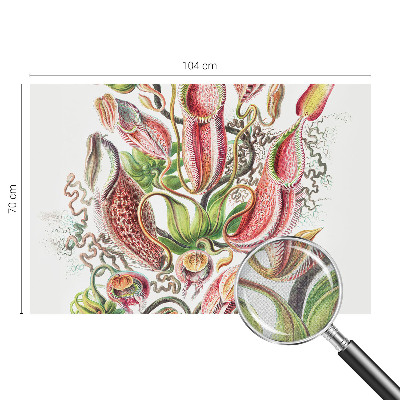 Fototapetas vaikams Augalų detalės