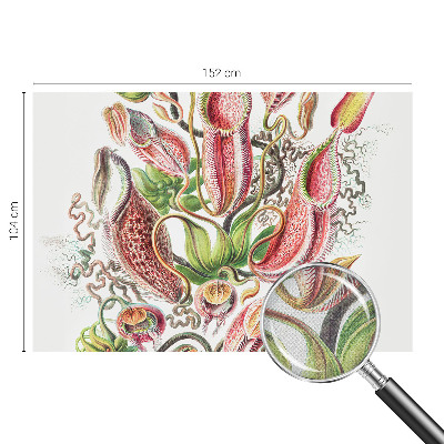 Fototapetas vaikams Augalų detalės