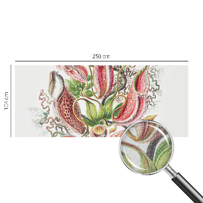 Fototapetas vaikams Augalų detalės