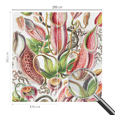 Fototapetas vaikams Augalų detalės