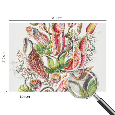 Fototapetas vaikams Augalų detalės