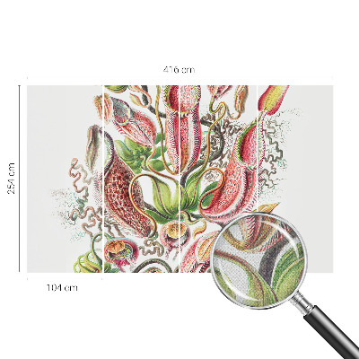 Fototapetas vaikams Augalų detalės