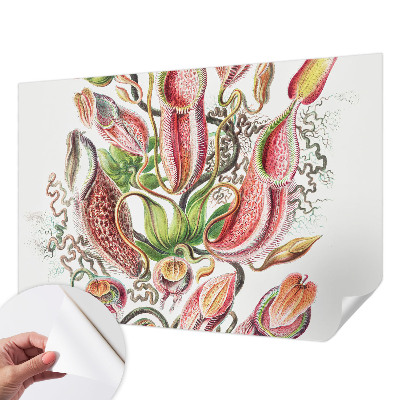 Fototapetas vaikams Augalų detalės