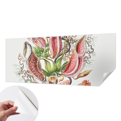 Fototapetas vaikams Augalų detalės