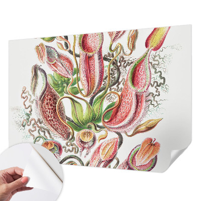 Fototapetas vaikams Augalų detalės