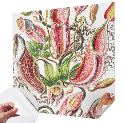 Fototapetas vaikams Augalų detalės